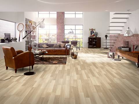 aranzacja sosna sahara